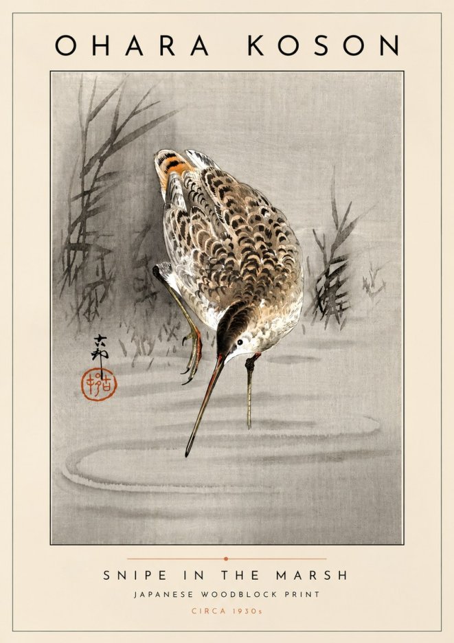 Ohara Koson Snipe in the Marsh No4 - Affiche