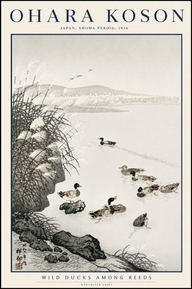 Ohara Koson Wild Ducks Among Reeds No3 - Affiche