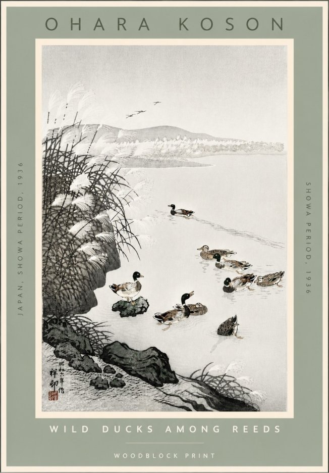 Ohara Koson Wild Ducks Among Reeds No4 - Affiche
