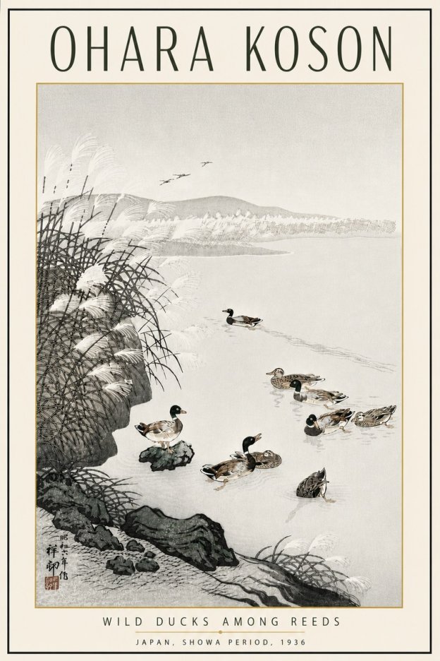 Ohara Koson Wild Ducks Among Reeds No5 - Affiche