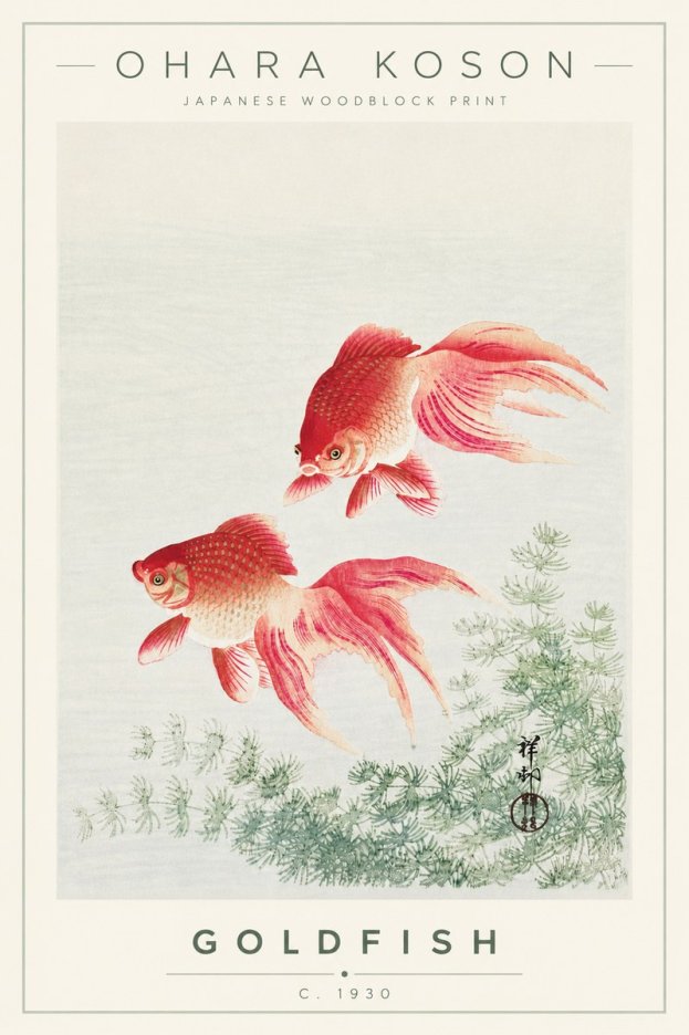 Ohara Koson Goldfish No4 - Affiche