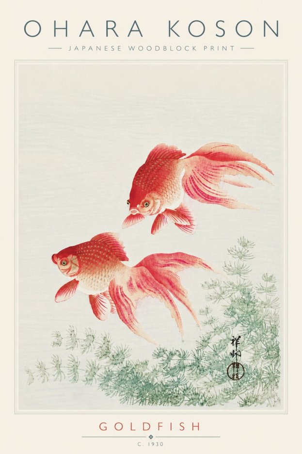 Ohara Koson Goldfish No6 - Affiche
