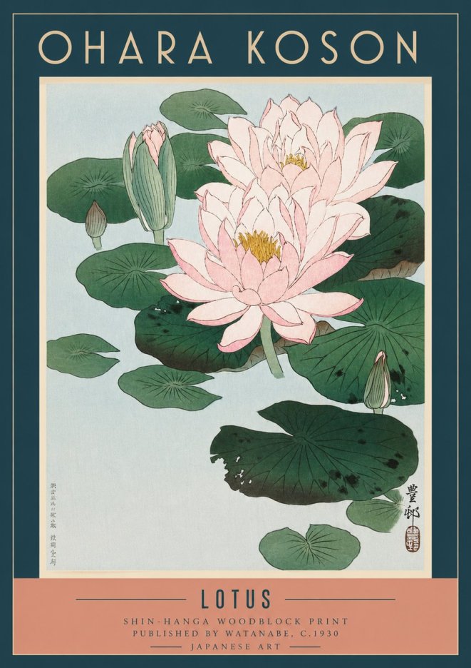 Ohara Koson Lotus I No3 - Affiche