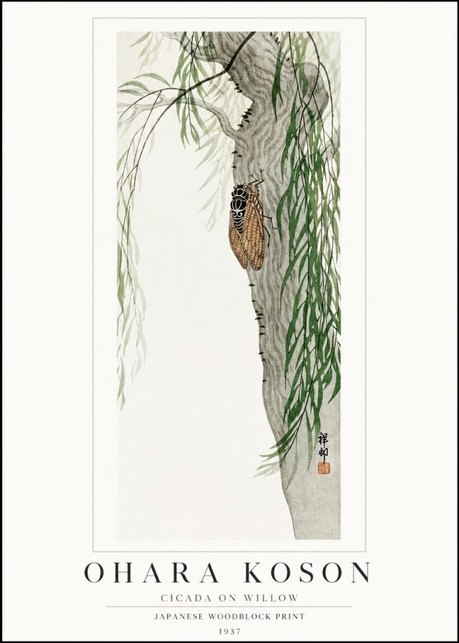 Ohara Koson Cicada on Willow No1 - Affiche