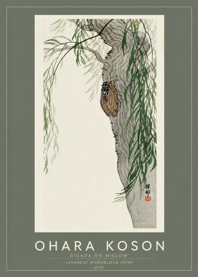 Ohara Koson Cicada on Willow No2 - Affiche