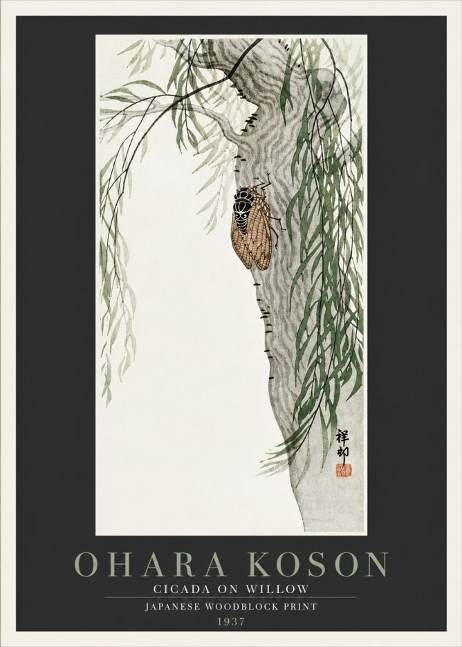 Ohara Koson Cicada on Willow No4 - Affiche