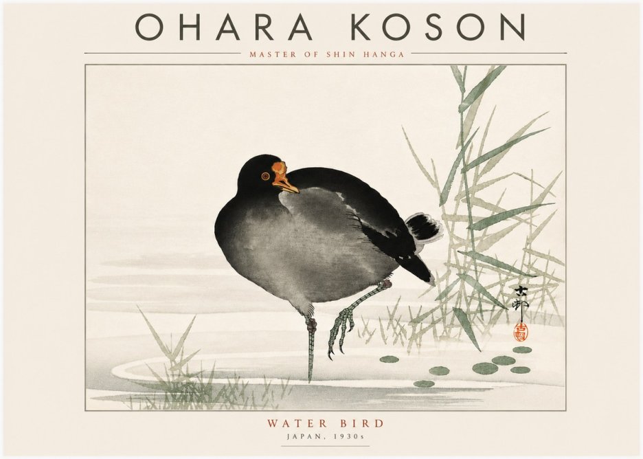 Ohara Koson Water Bird No6 - Affiche
