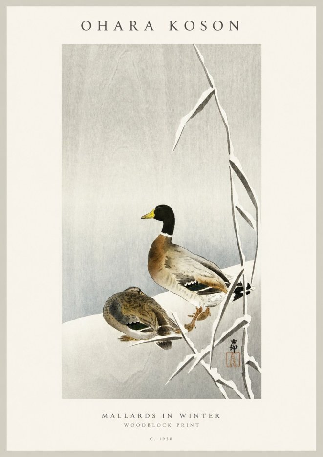 Ohara Koson Mallards in Winter No1 - Affiche