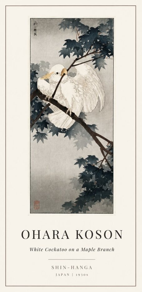 Ohara Koson White Cockatoo on a Maple Branch No1 - Affiche