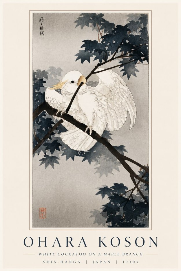 Ohara Koson White Cockatoo on a Maple Branch No6 - Affiche