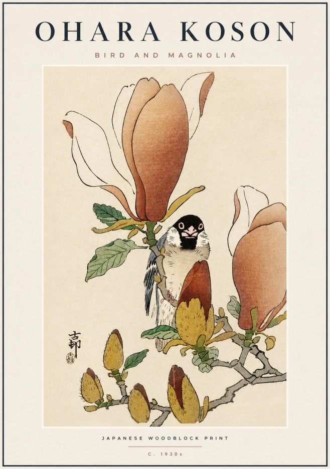 Ohara Koson Bird and Magnolia No6 - Affiche