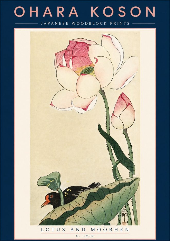 Ohara Koson Lotus and Moorhen No5 - Affiche