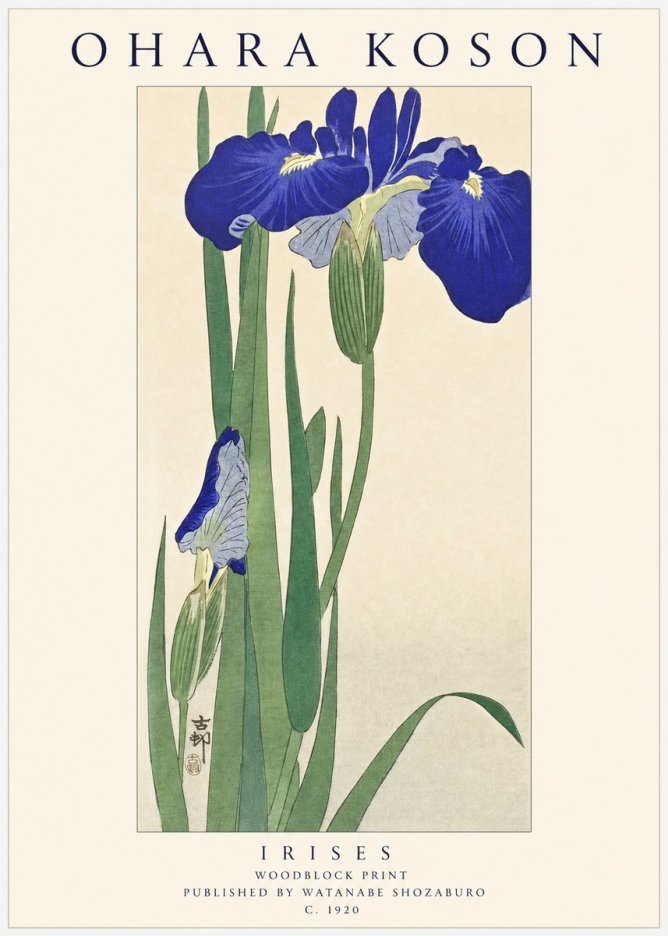 Ohara Koson Irises I No1 - Affiche