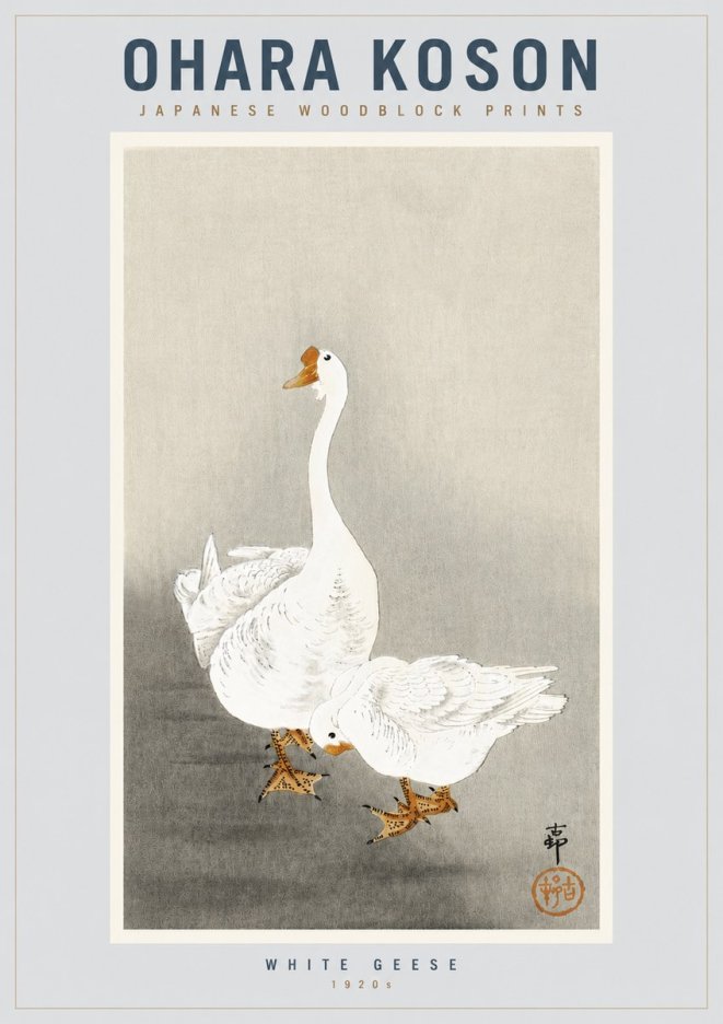 Ohara Koson White Geese No4 - Affiche