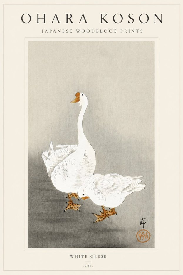 Ohara Koson White Geese No5 - Affiche