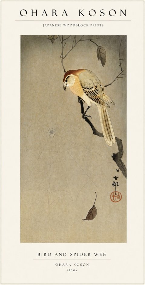 Ohara Koson Bird and Spider Web I No1 - Affiche