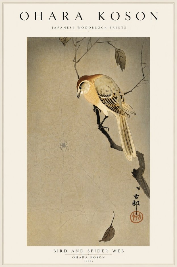 Ohara Koson Bird and Spider Web I No5 - Affiche