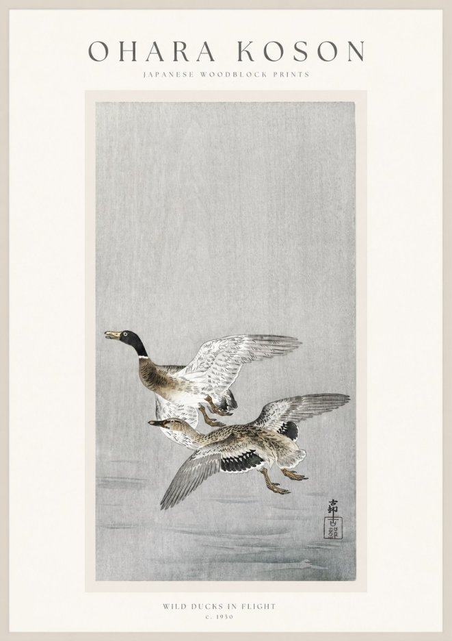 Ohara Koson Wild Ducks in Flight No1 - Affiche