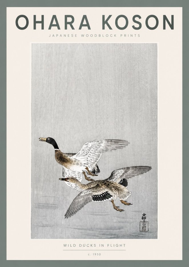 Ohara Koson Wild Ducks in Flight No2 - Affiche