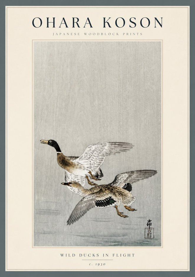 Ohara Koson Wild Ducks in Flight No3 - Affiche