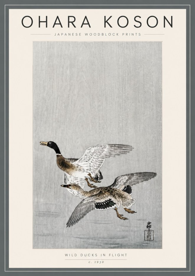 Ohara Koson Wild Ducks in Flight No5 - Affiche