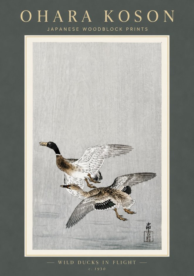 Ohara Koson Wild Ducks in Flight No6 - Affiche