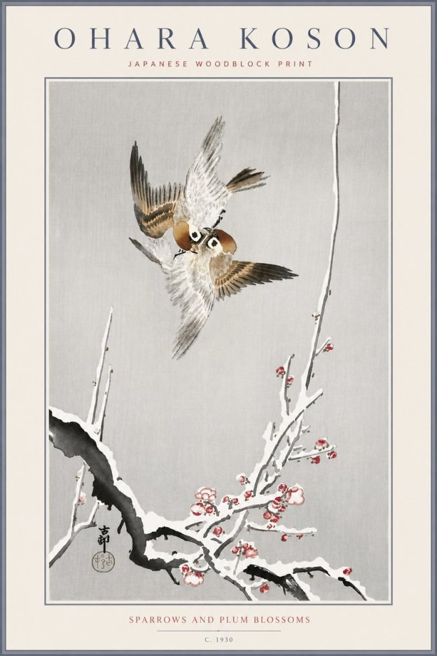 Ohara Koson Sparrows and Plum Blossoms No6 - Affiche