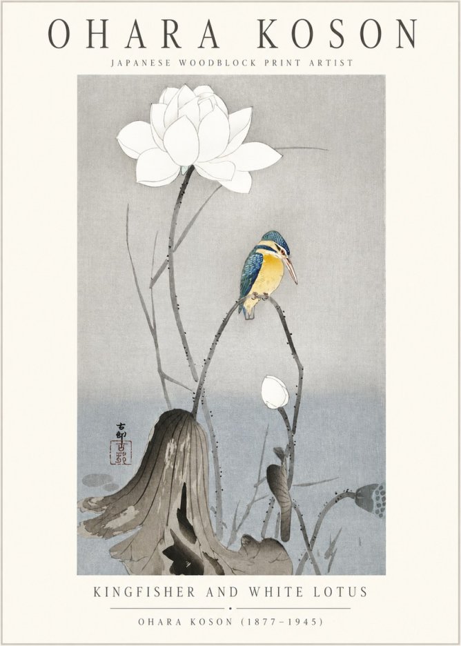Ohara Koson Kingfisher and White Lotus No1 - Affiche