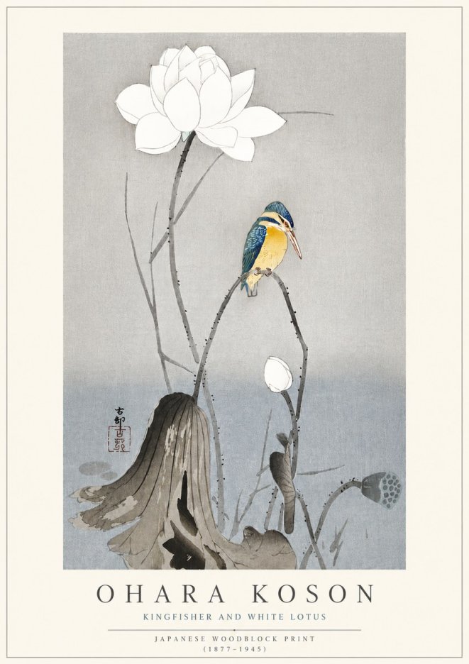 Ohara Koson Kingfisher and White Lotus No3 - Affiche