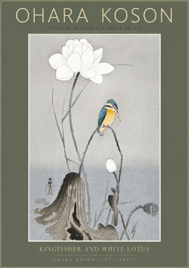 Ohara Koson Kingfisher and White Lotus No5 - Affiche