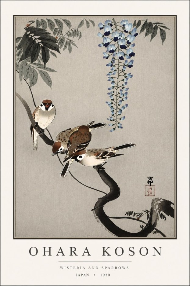 Ohara Koson Wisteria and Sparrows No3 - Affiche