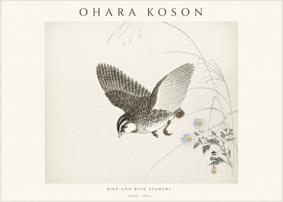 Ohara Koson Bird and Wild Flowers No1 - Affiche