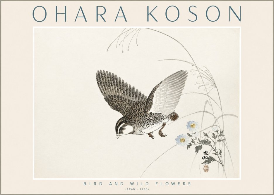 Ohara Koson Bird and Wild Flowers No2 - Affiche