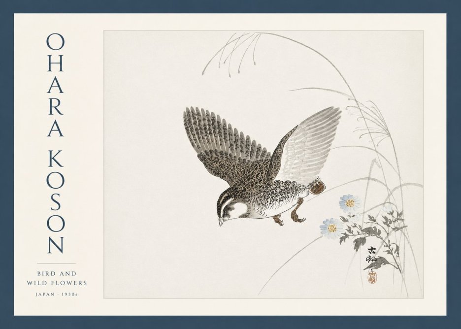 Ohara Koson Bird and Wild Flowers No3 - Affiche