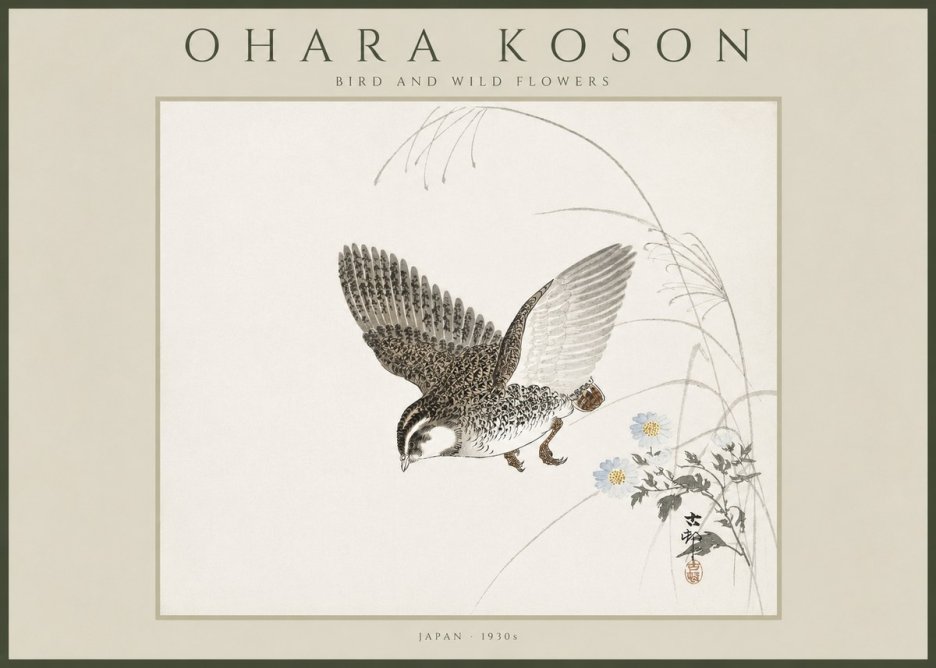Ohara Koson Bird and Wild Flowers No4 - Affiche