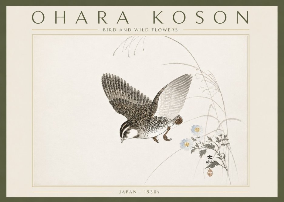 Ohara Koson Bird and Wild Flowers No6 - Affiche