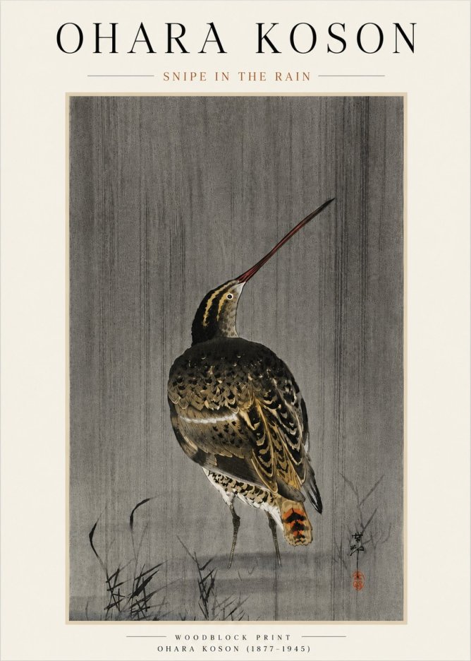 Ohara Koson Snipe in the Rain No4 - Affiche