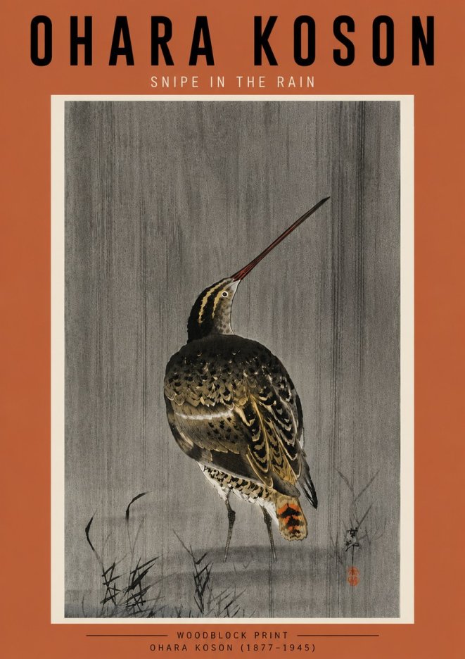 Ohara Koson Snipe in the Rain No5 - Affiche