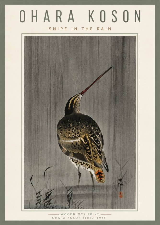 Ohara Koson Snipe in the Rain No6 - Affiche