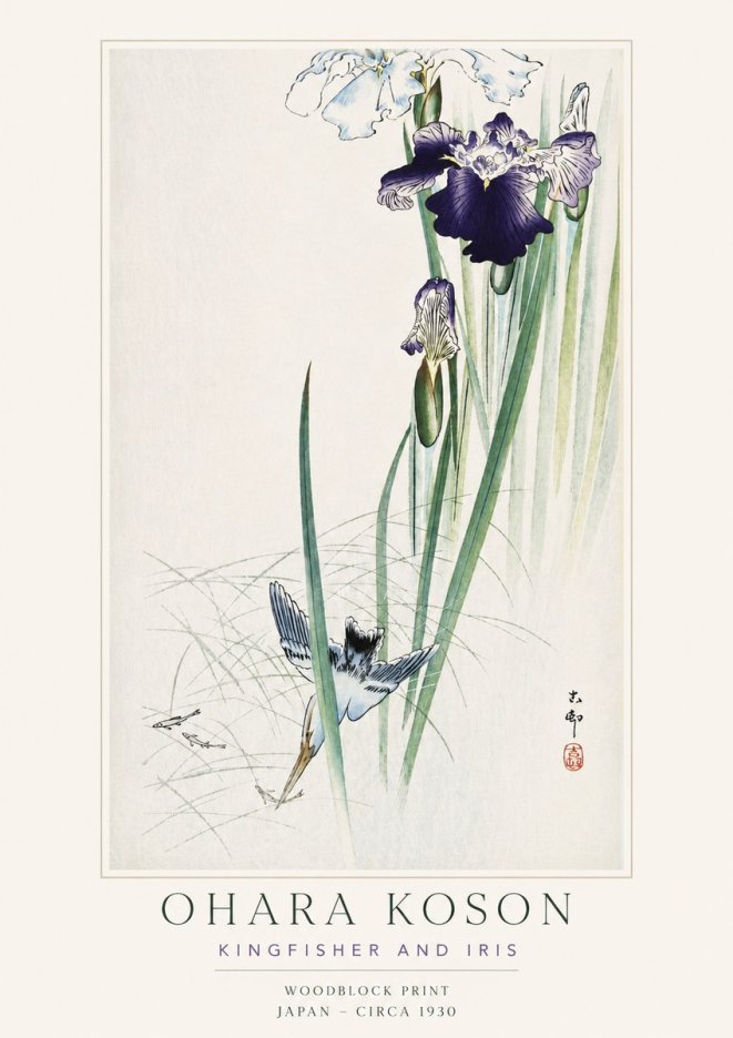 Ohara Koson Kingfisher and Iris No3 - Affiche