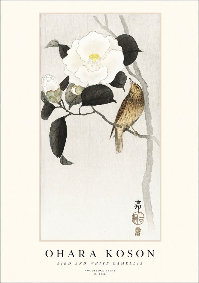 Ohara Koson Bird and White Camellia No1 - Affiche