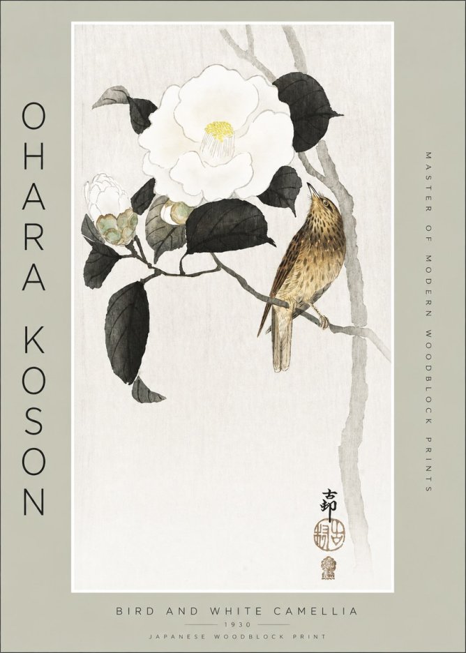 Ohara Koson Bird and White Camellia No2 - Affiche