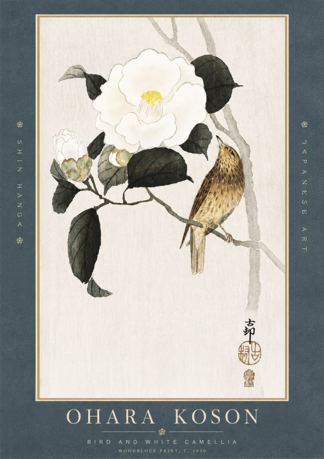 Ohara Koson Bird and White Camellia No3 - Affiche