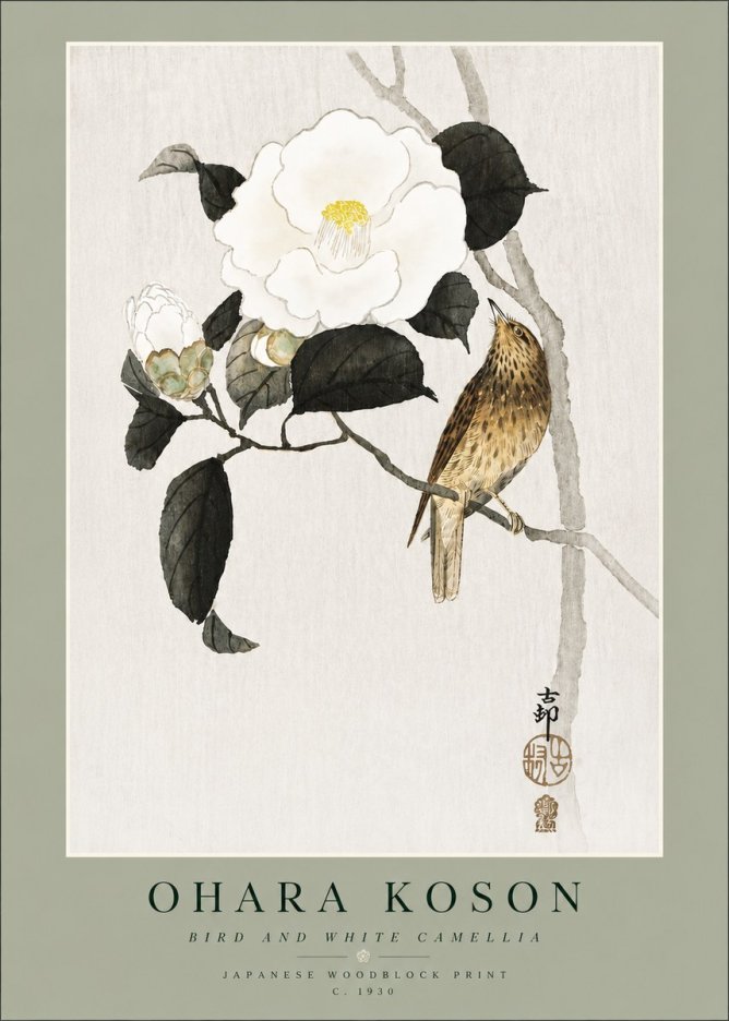 Ohara Koson Bird and White Camellia No4 - Affiche