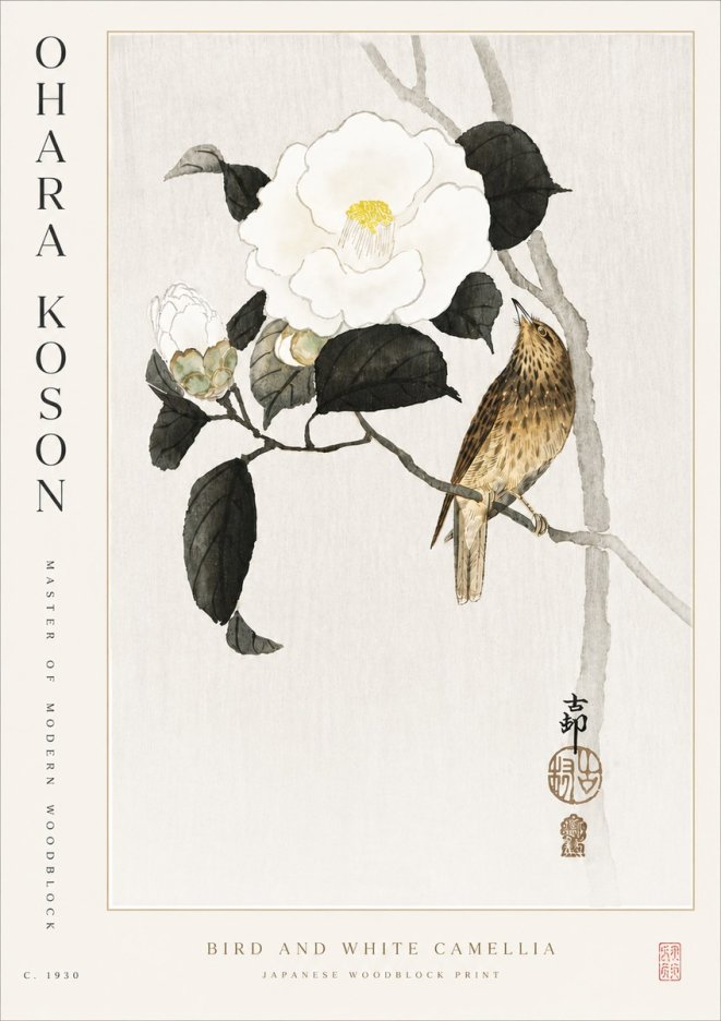 Ohara Koson Bird and White Camellia No5 - Affiche