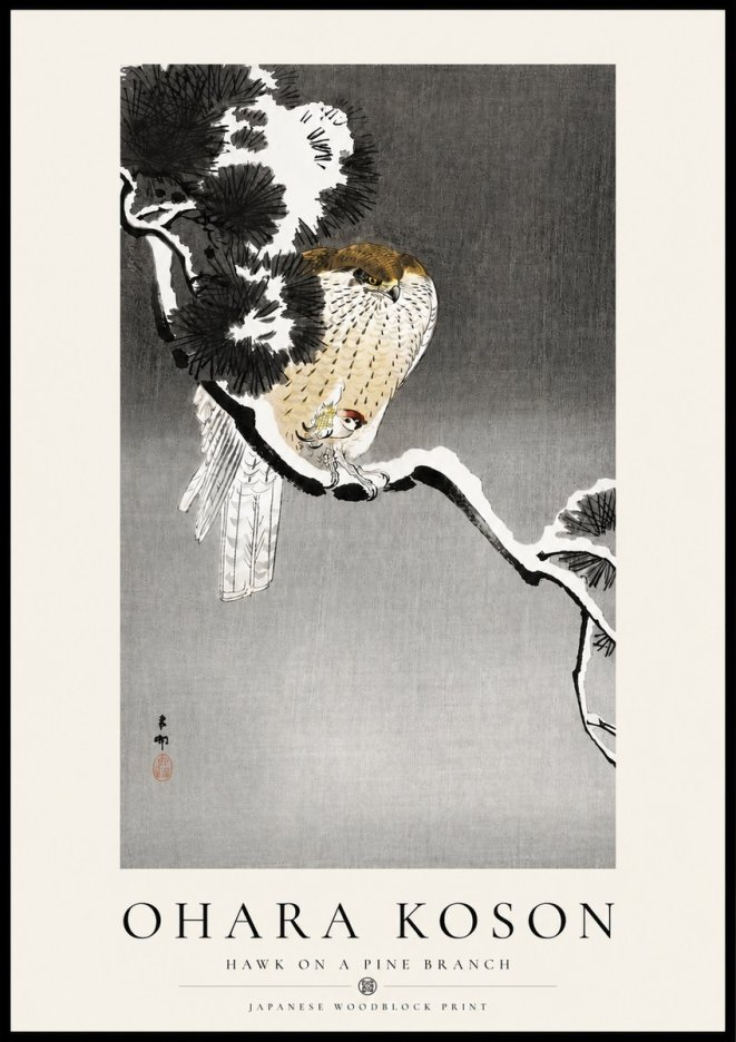 Ohara Koson Hawk on a Pine Branch No4 - Affiche