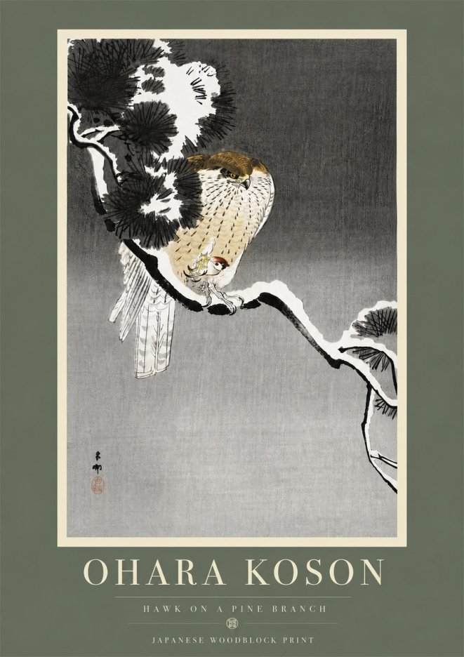 Ohara Koson Hawk on a Pine Branch No5 - Affiche