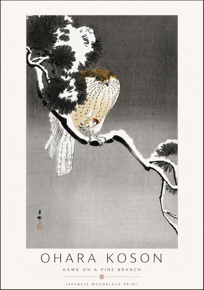 Ohara Koson Hawk on a Pine Branch No6 - Affiche