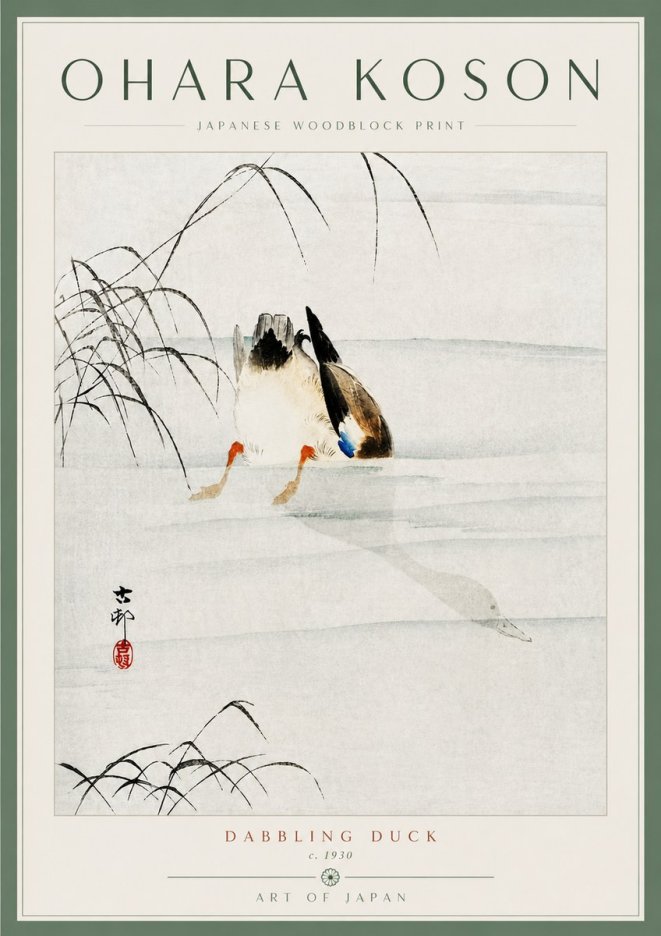 Ohara Koson Dabbling Duck No5 - Affiche