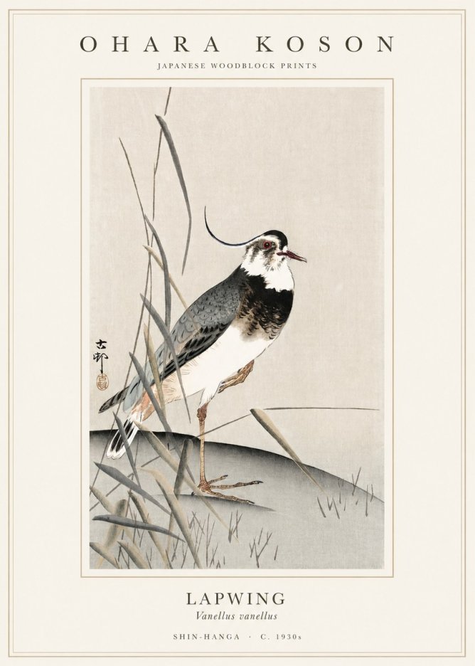 Ohara Koson Lapwing No1 - Affiche